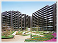 マンション担当