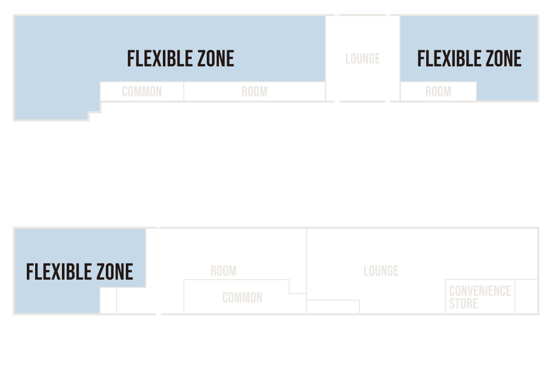FLEXIBLE ZONE