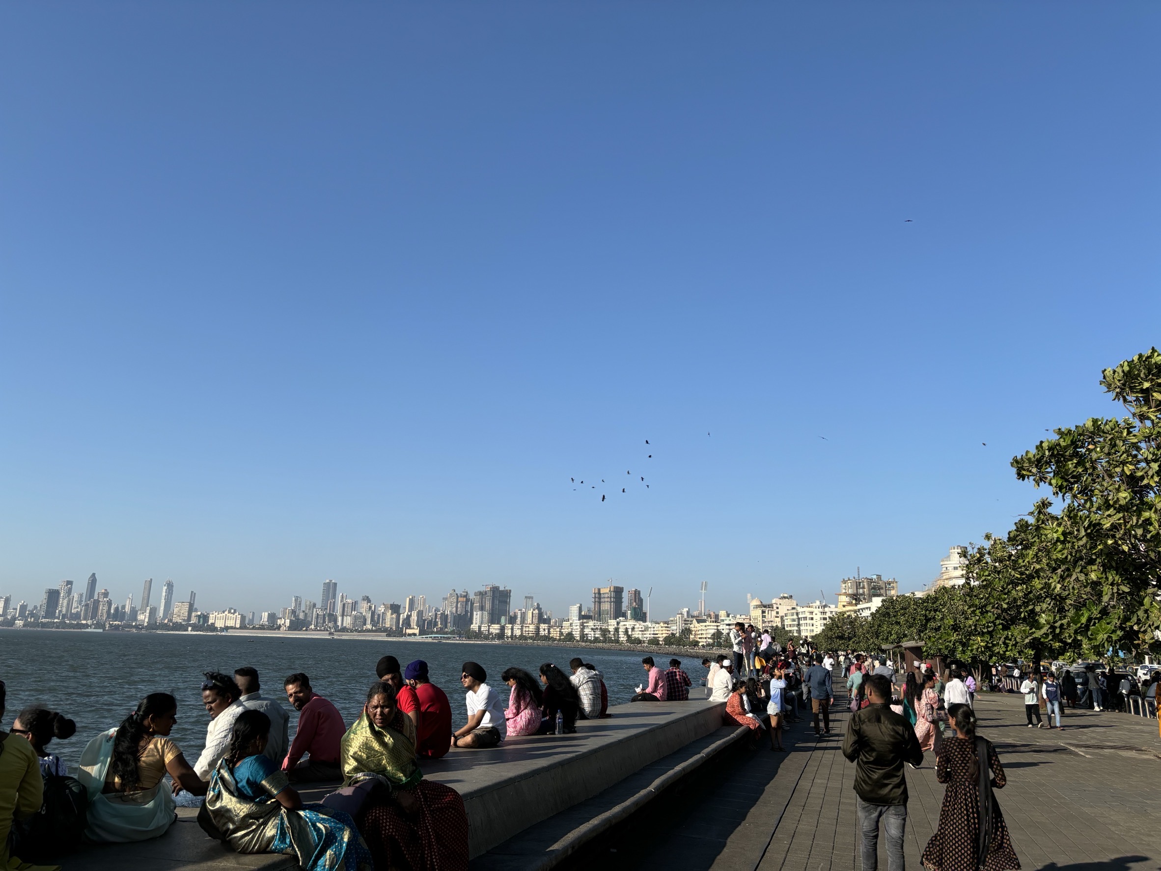 Coastal road