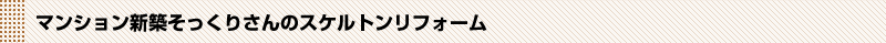 }VVz肳@lC̔閧