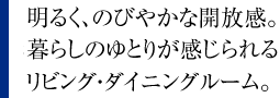 邭Âт₩ȊJB炵̂Ƃ肪郊rOE_CjO[B